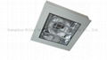 induction ceiling light  fixtures 2