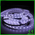 5050 LED SOFT STRIP LIGHT MANUFACTURERS SELLING FROM CHINA 2