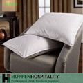 hotel pillow case 3