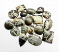 Zebra Jasper Freeform Loose stone