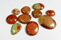 Red Horn fossil coral Utah mountains Freeform Loose Stone Cabochon  1