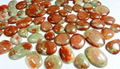 Red Horn fossil coral Utah mountains Freeform Loose Stone Cabochon  3