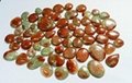 Red Horn fossil coral Utah mountains Freeform Loose Stone Cabochon  5