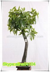 pachira money tree plant artificial tree plant for decoration