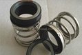 Mechanical Pump Seal (Replacement of