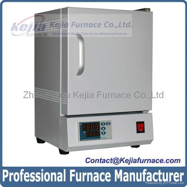 Dental Burnout Furnace