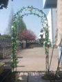 Garden Arch Set