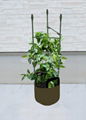 planter bag with supporting cage