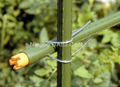 Galvanized steel cross joint 3