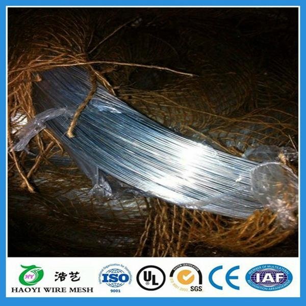 Best price galvanized iron wire for binding(china supplier)  5