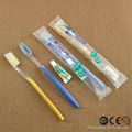 Disposable Toothbrush with Toothpaste