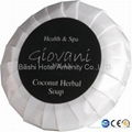 Pleat 20g Round Hotel Soap  2