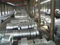 Galvanized Steel Coils 1