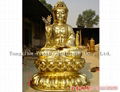 Buddhas 1