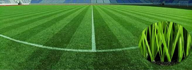 Sports Stadium Artificial Grass