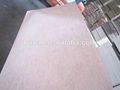 12mm bintangor soft plywood from China 1