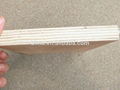 1220x2440mm poplar plywood for for sale 1