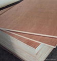 good quality okoume plywood and cheap poplar plywood board 1