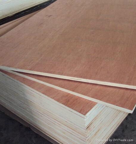 good quality okoume plywood and cheap poplar plywood board