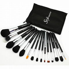 15pcs professional makeup brush sets with a bag