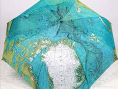 fold umbrella