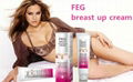 2014 breast enhancement cream OEM  1