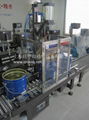 Automatic Weighing Filling Gripping Line 2