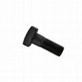 ASTM 307 Gr. B Heavy Hex Bolts