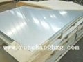 Stainless Steel Sheets (Sales!)