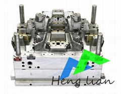 Precision Injection Mould