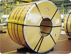 Stainless Steel Coil/Plate