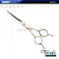 Curved Blade Beauty Hair Scissors of demestic 440c steel U401 2