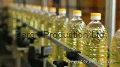 Crude and refined sunflower oil