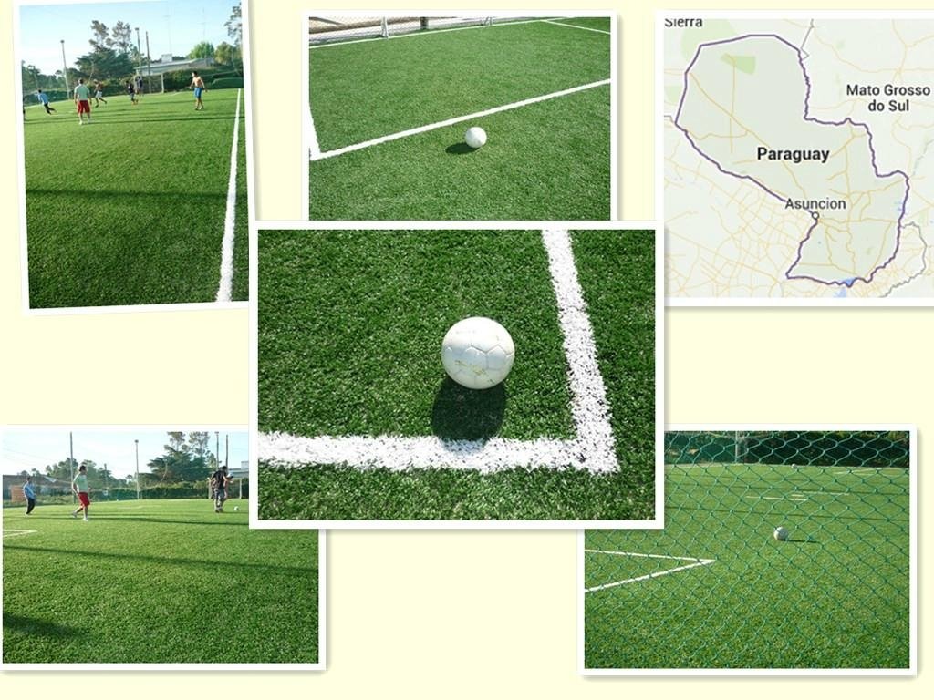 Hot sale professiona football field synthetic grass carpet artificial grass  3