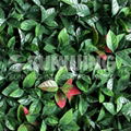 new garden material artificial hedges