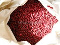 Kidney Beans 4