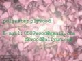 ployester plywood/mdf 1