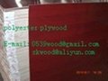 ployester plywood/mdf 3