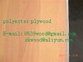 ployester plywood/mdf 4