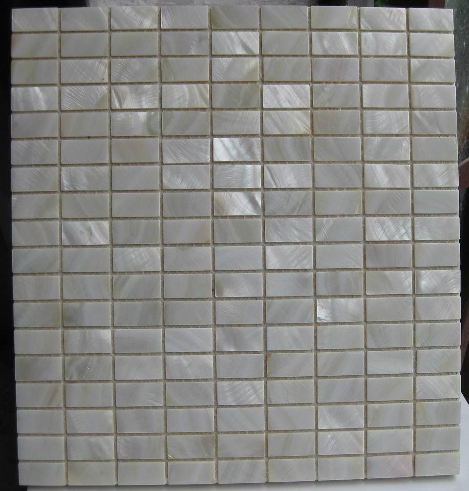 Freshwater Shell Mosaic and Rectangle Shell Mosaic tiles