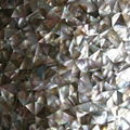 Natural Sea Shell Tile Irregular