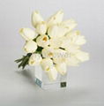 Tulip bouquet decorative tulip flower white tulip