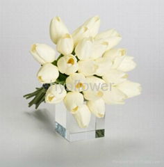 Tulip bouquet decorative tulip flower white tulip