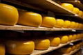 Cheese - Cheddar 5