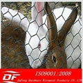 galvanized hexagonal wire mesh for animal