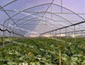 high quality EVA greenhouse for sale 1