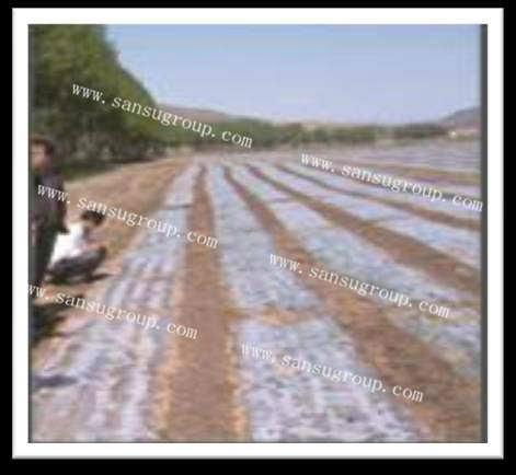 high quality biodegradable plastic mulch film for agriculture 5