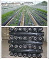 polythene black film for agriculture