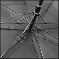 Windproof Double Canopy Golf Umbrella 5