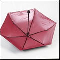 UV Projection Umbrella parasol 4